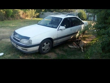 Авто Opel Omega 1993 № 8537797