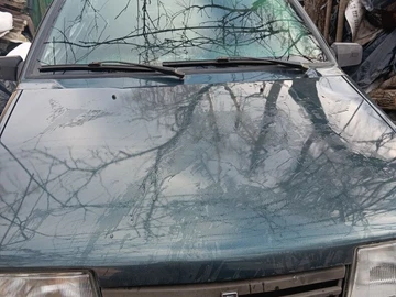 Авто ВАЗ 21099 2005 № 8538788