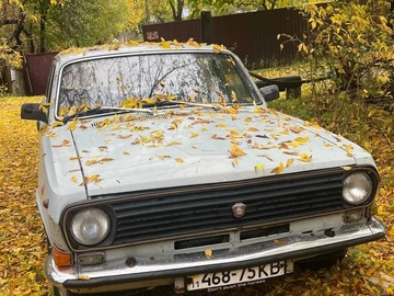 Авто ГАЗ 24-10 Волга 1988 № 8548083