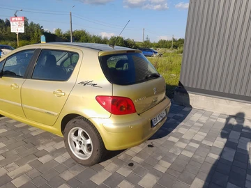 Авто Peugeot 307 2004 № 8568434