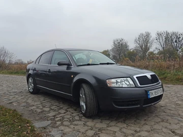 Авто Skoda Superb 2006 № 8569089