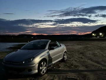 Авто Peugeot 206 2003 № 8570418