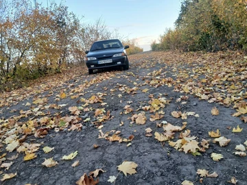Авто ВАЗ 2115 1998 № 8576046