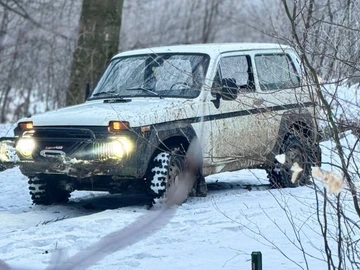 Авто ВАЗ 21213 1986 № 8577906