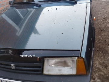 Авто ВАЗ 21099 2005 № 8579737