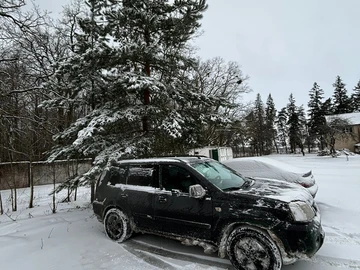 Авто Nissan X-Trail 2004 № 8606909