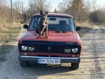 Авто ВАЗ 2106 1978 № 8610140
