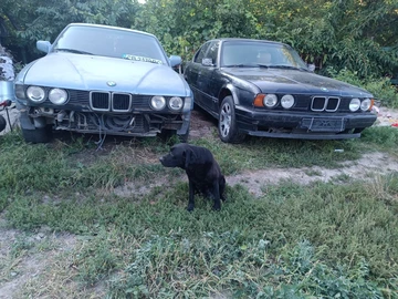 Авто BMW 5 Серия 1994 № 8611324