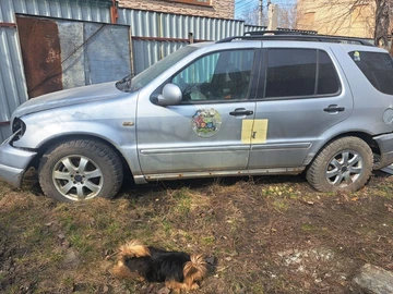 Авто Mercedes Ml Серия 2002 № 8612619