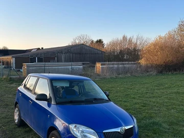 Авто Skoda Fabia 2009 № 8612652
