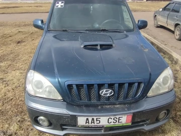 Авто Hyundai Terracan 2002 № 8618622