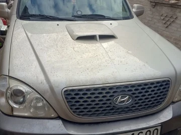Авто Hyundai Terracan 2005 № 8625148