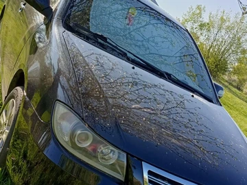 Авто Lifan 620 2011 № 8628534