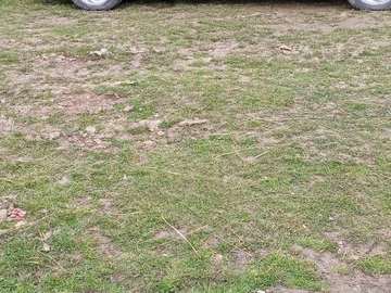 Авто Volkswagen Passat Sedan 1995 № 8629267