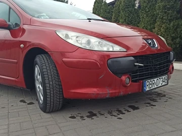Авто Peugeot 307 2003 № 8633368