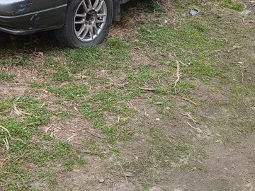Авто Fiat Tempra 1996 № 8637634