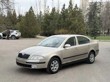 Авто Skoda 100 2006 № 8643712