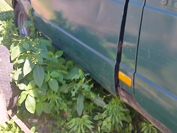 Авто ГАЗ 2818 Газель 2006 № 8645568