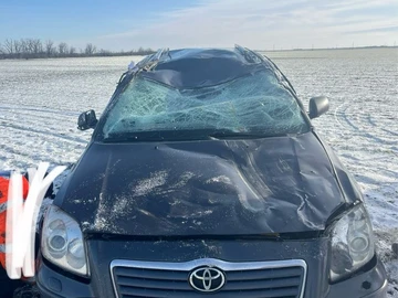 Авто Toyota Avensis 2005 № 8645929