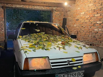 Авто ВАЗ 21093 1996 № 8669705