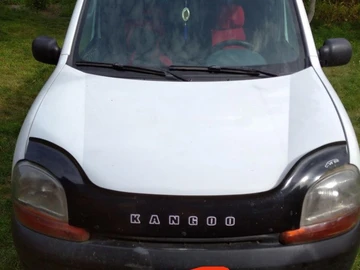 Авто Renault Kangoo Express 1998 № 8675818