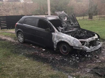 Авто Opel Signum 2005 № 8676194