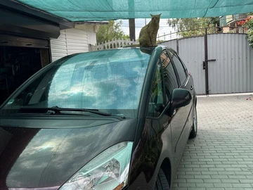 Авто Citroen C4 Picasso 2008 № 8682604