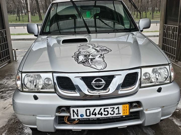 Авто Nissan Terrano 2004 № 8685977
