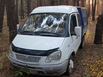 Авто ГАЗ 3302 Газель 2005 № 8696348