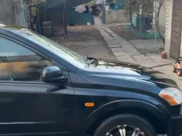 Авто SsangYong Kyron 2007 № 8699166