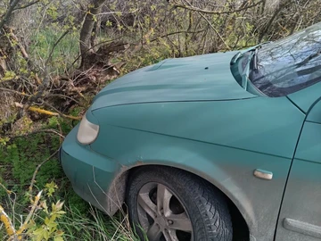 Авто KIA Carens 2005 № 8699628
