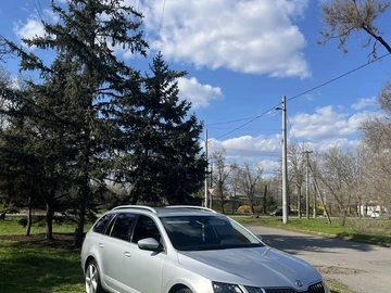 Авто Skoda Octavia 2018 № 8700030