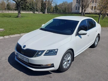 Авто Skoda Octavia 2019 № 8702710
