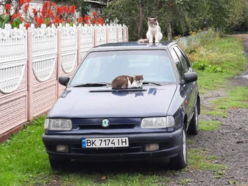 Авто Skoda Felicia 1995 № 8707097