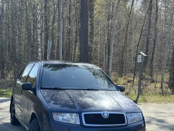 Авто Skoda Fabia 2001 № 8708312
