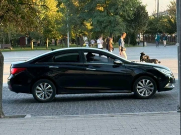 Авто Hyundai Sonata 2014 № 8712756