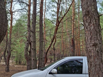 Авто Skoda Fabia 2003 № 8714479