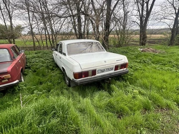 Авто ГАЗ 31029 1992 № 8719070
