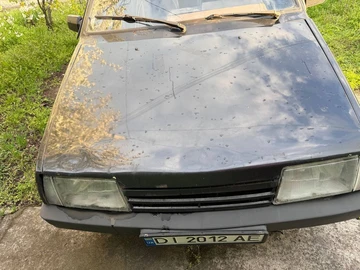 Авто ВАЗ 21099 2005 № 8719907