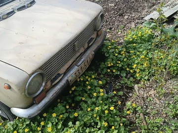 Авто ВАЗ 2101 1984 № 8722597
