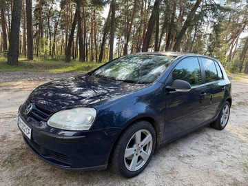 Авто Volkswagen Golf 2005 № 8725336