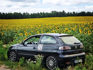 Авто SEAT Ibiza 2008 № 8728439