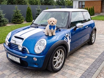 Авто MINI Mini 2005 № 8733794