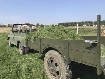 Авто УАЗ 469 1984 № 8737007