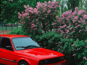 Авто BMW 3 Серия 1986 № 8737622