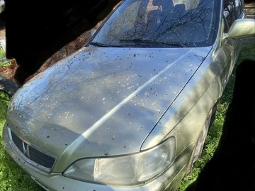 Авто Honda Accord 2000 № 8739944