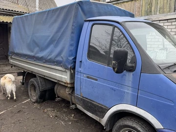 Авто ГАЗ 3302 Газель 2008 № 8755419
