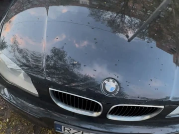 Авто BMW 1 Серия 2005 № 8761783