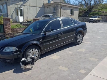 Авто Volkswagen Passat Sedan 2003 № 8763390