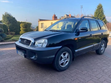 Авто Hyundai Santa Fe 2004 № 8766081